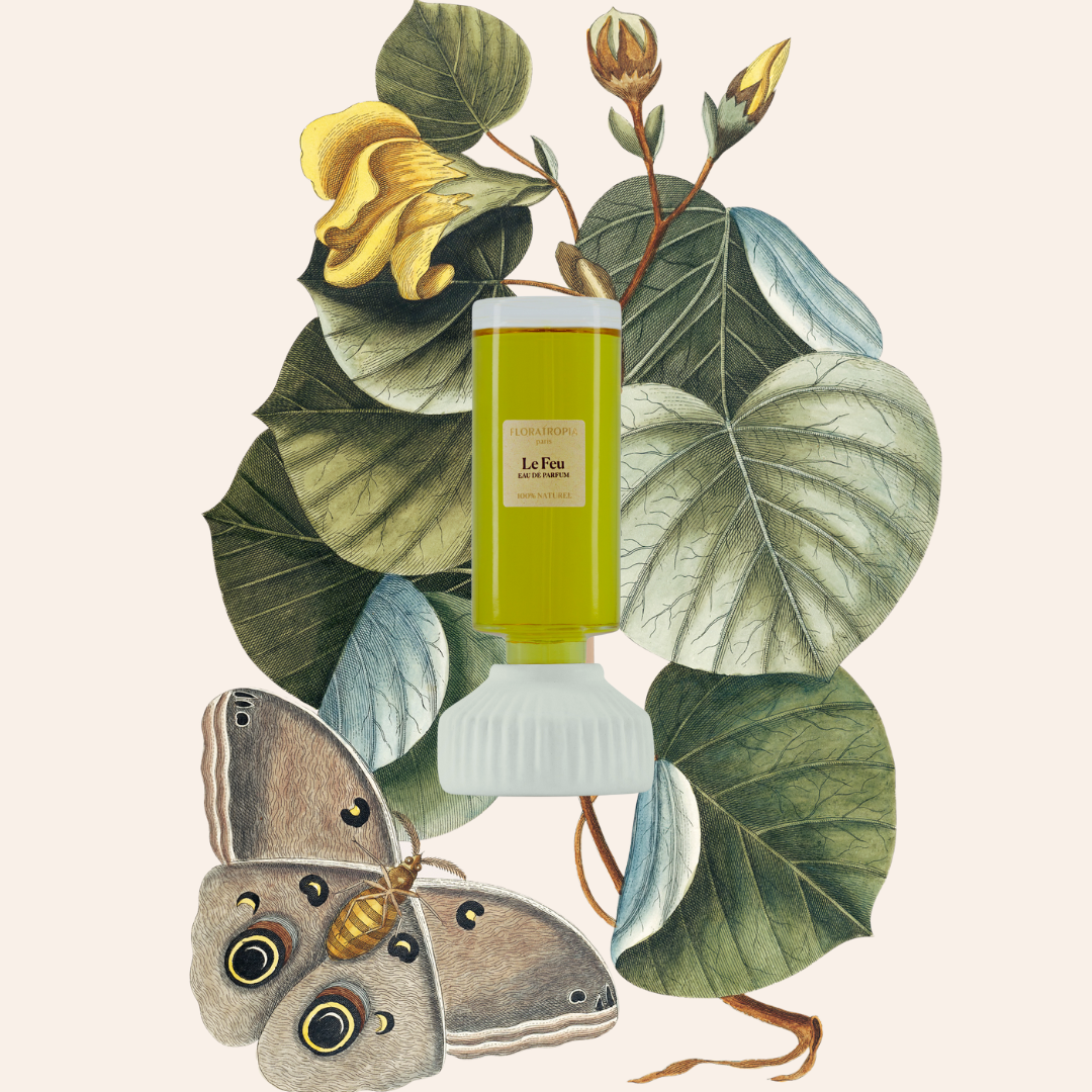LE GRANDIFLORA