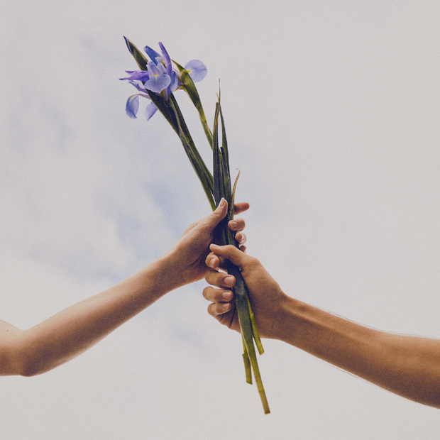 Fleurs violettes passant de main en main